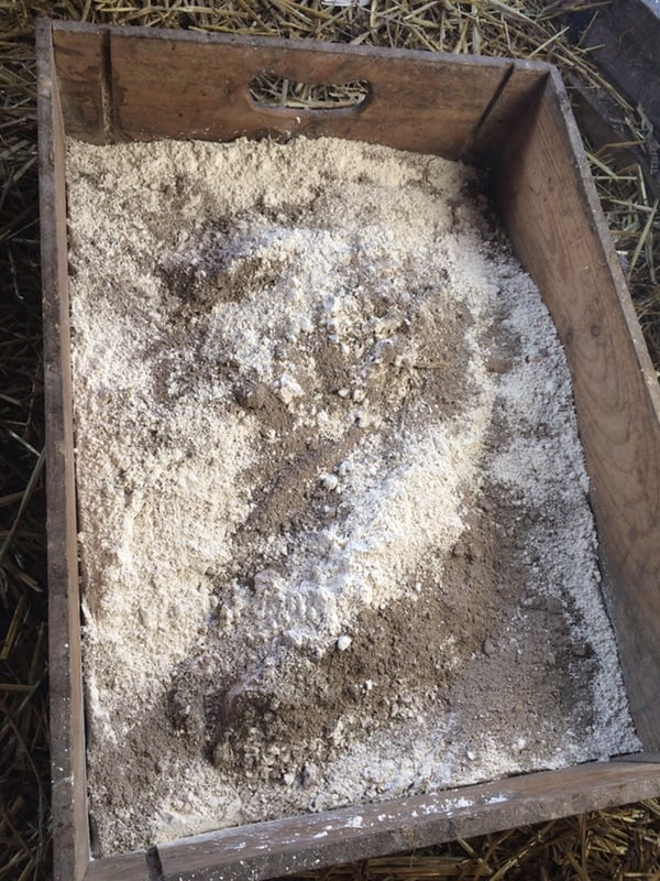 A box filled with wood ash and diatomaceous earth. 